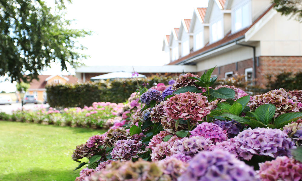 Fangel Kro & Hotel Bellinge Esterno foto